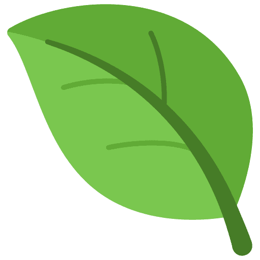 Busuioc
