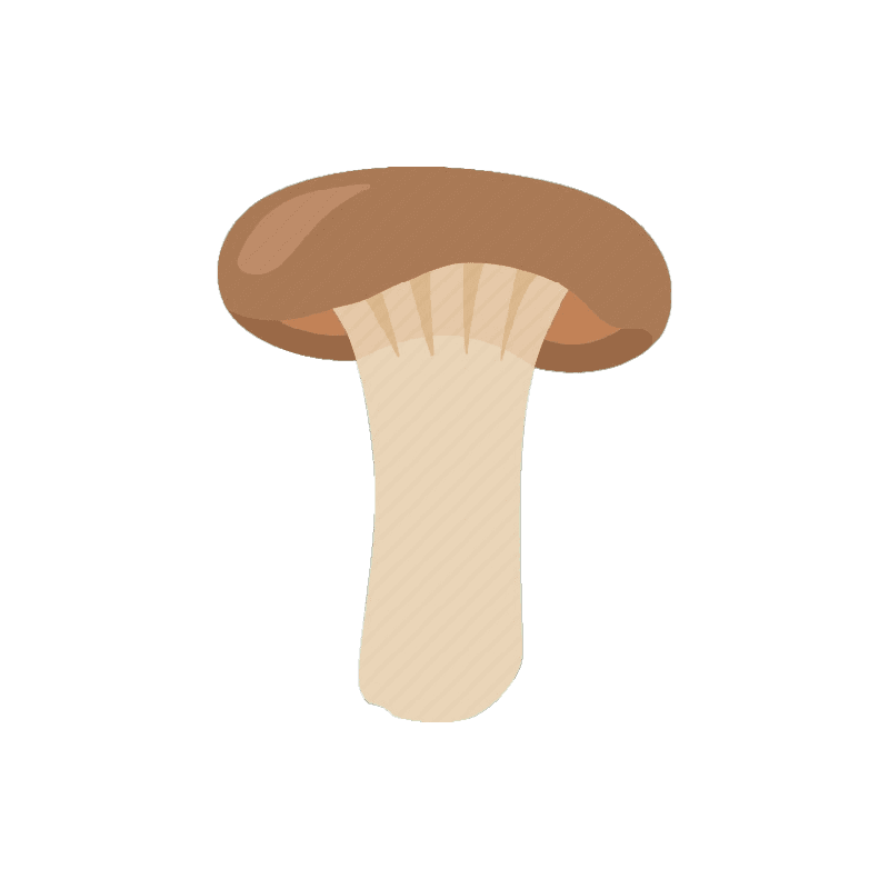 Hribii