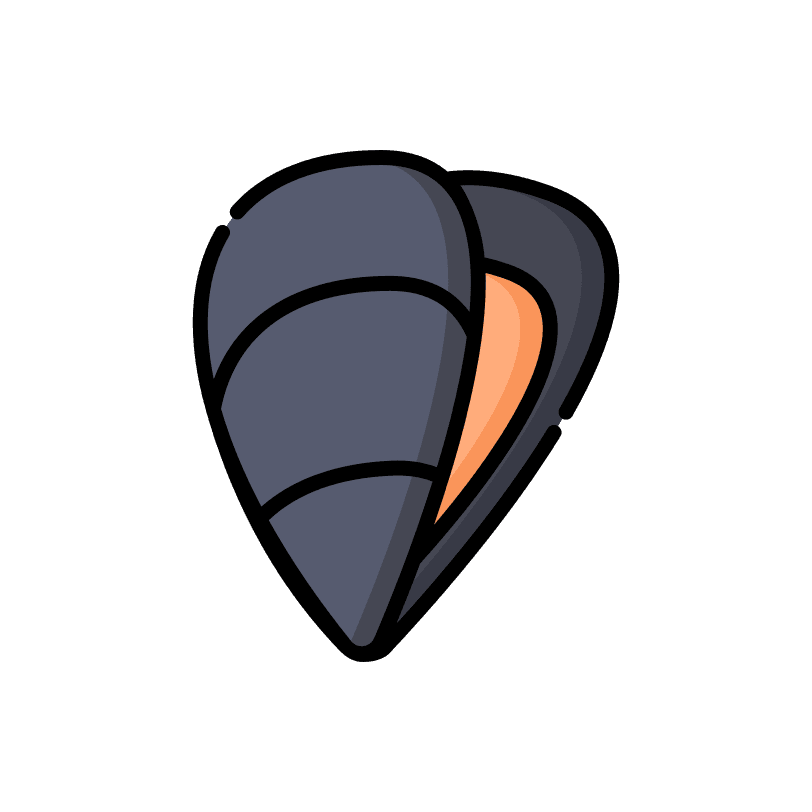 Midii