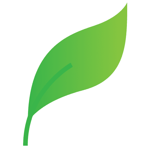 Oregano