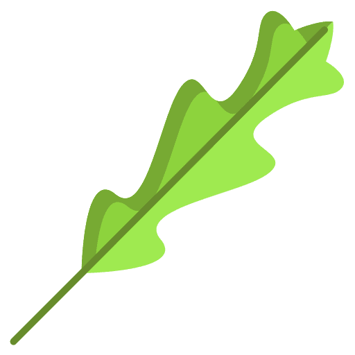 Rucola
