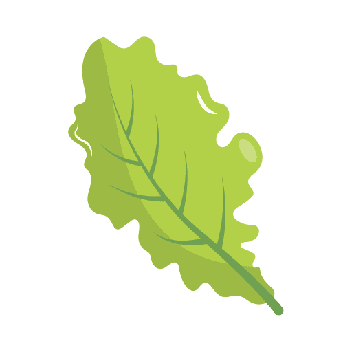 Salată verde